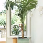 Esplendida Villa Costa Adeje (Tenerife)