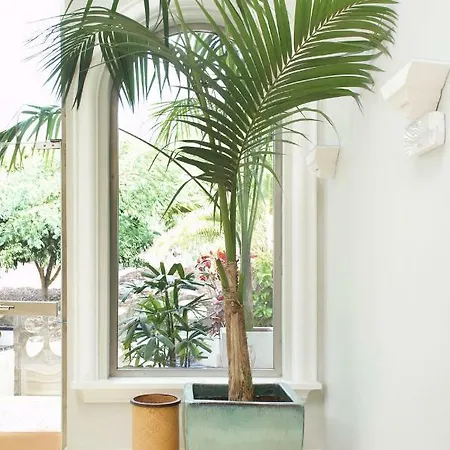 Esplendida Villa Costa Adeje (Tenerife)