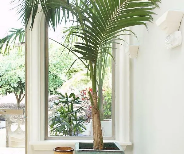 Esplendida Villa Costa Adeje